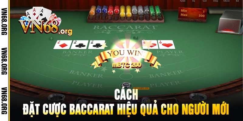 Cách đặt cược Baccarat hiệu quả cho người mới